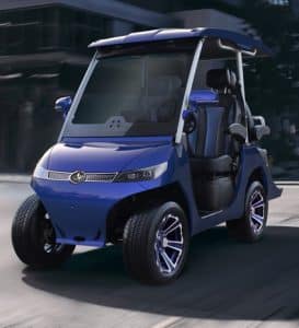 Evolution D3 golf cart