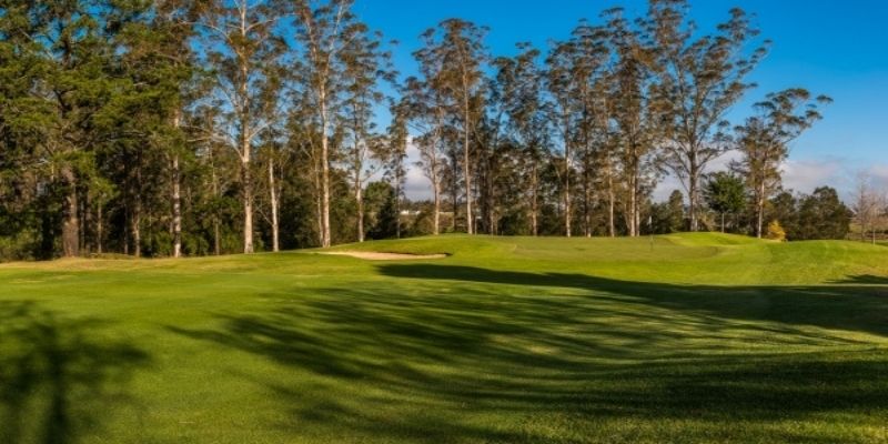 George Golf Club Joint No 10