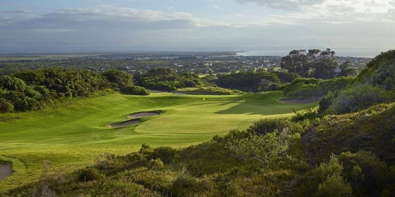 St Francis Links