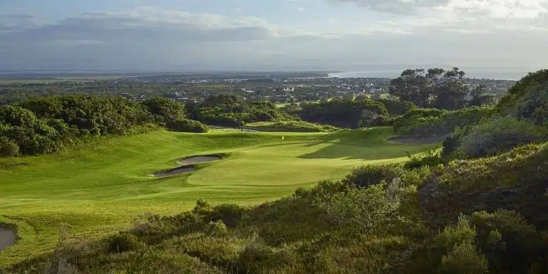 St Francis Links