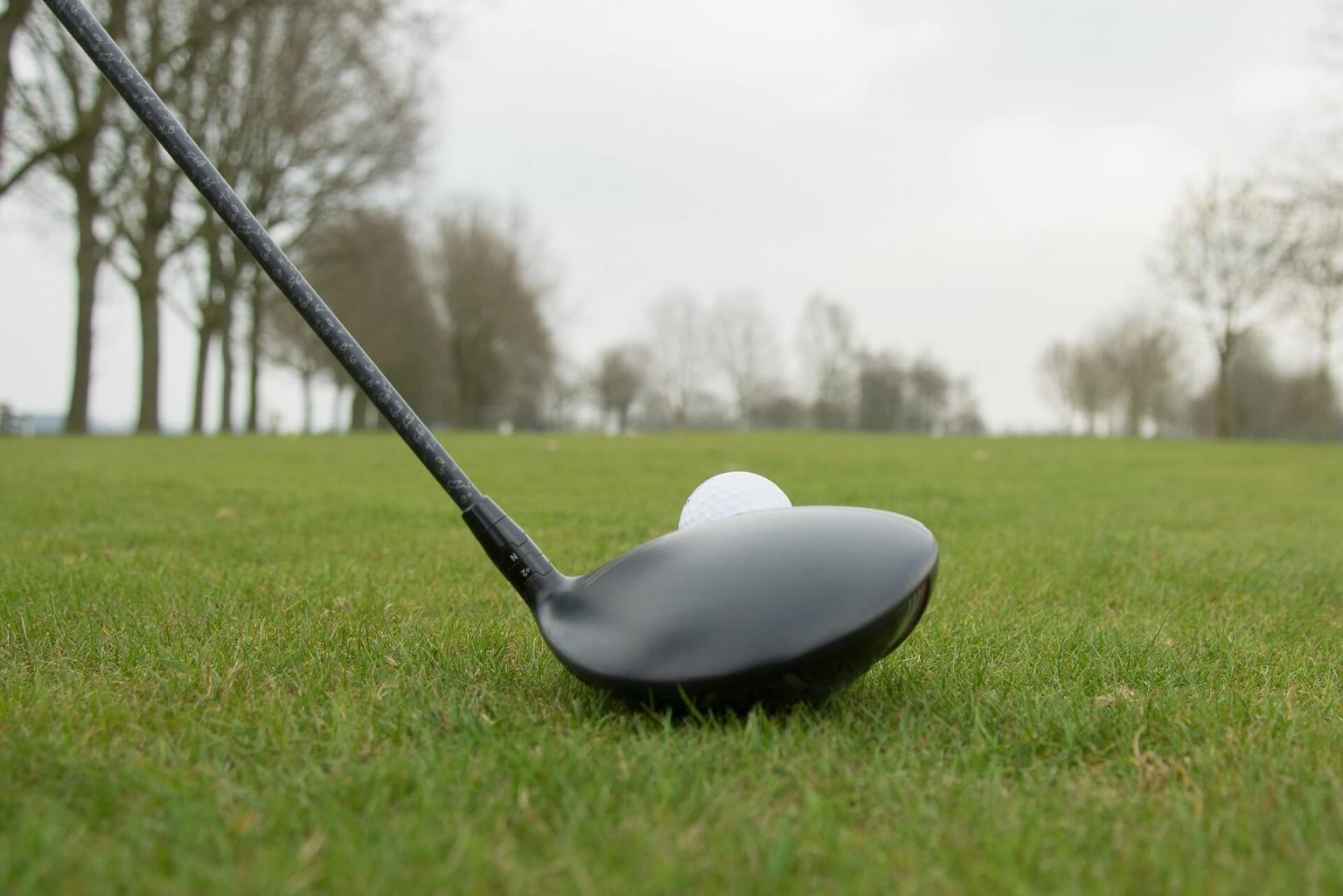 6 of The Best Golf Drivers For 2022 [Reviews & Ratings]