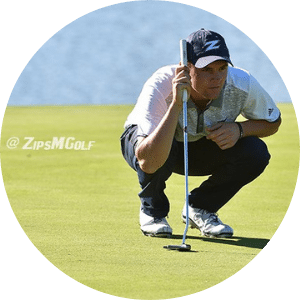 thediygolfer.com