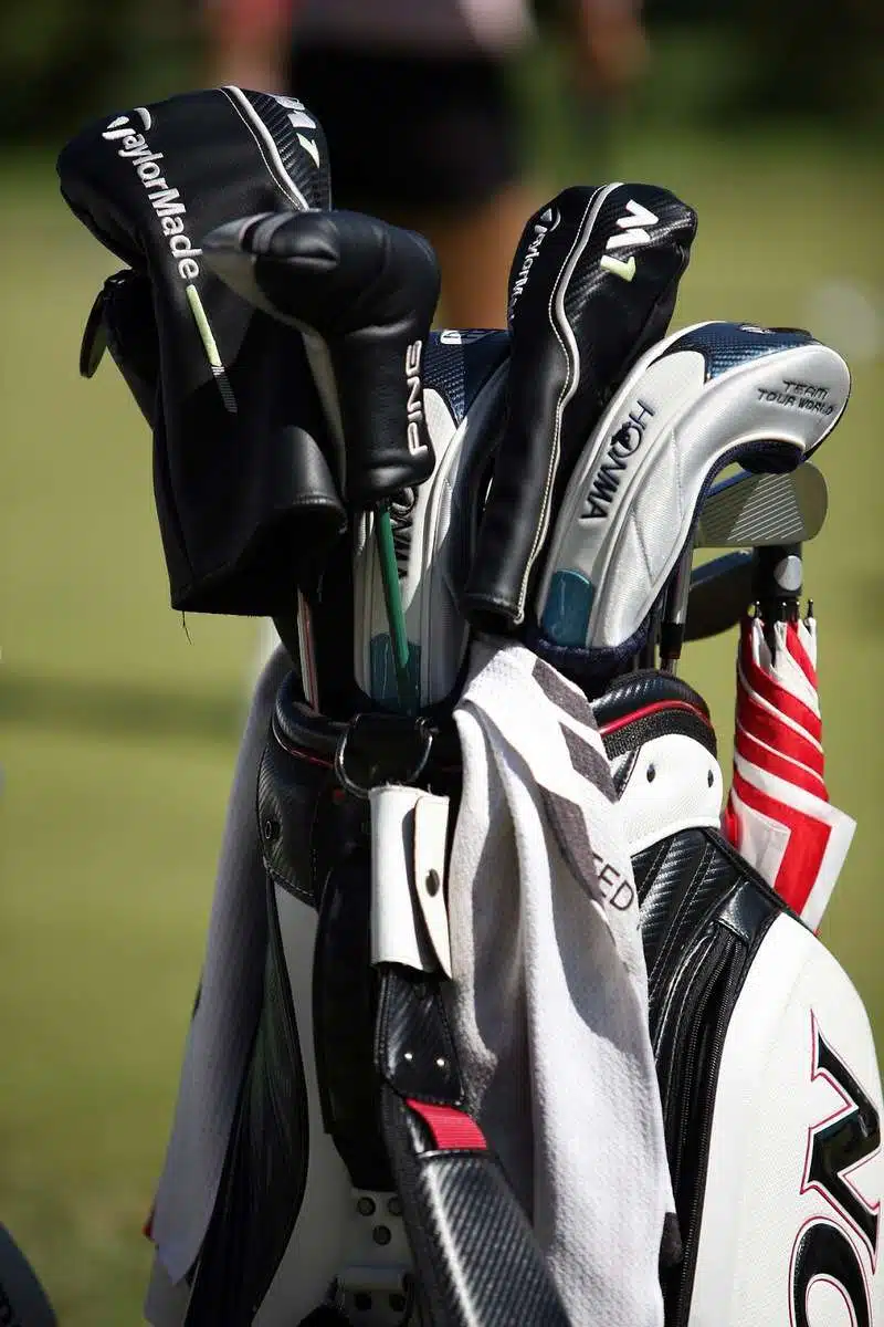 Golf clubs in a bag with head covers