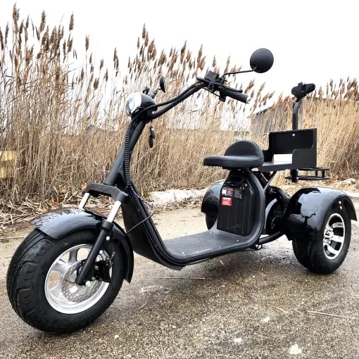 Electric fat tire scooter