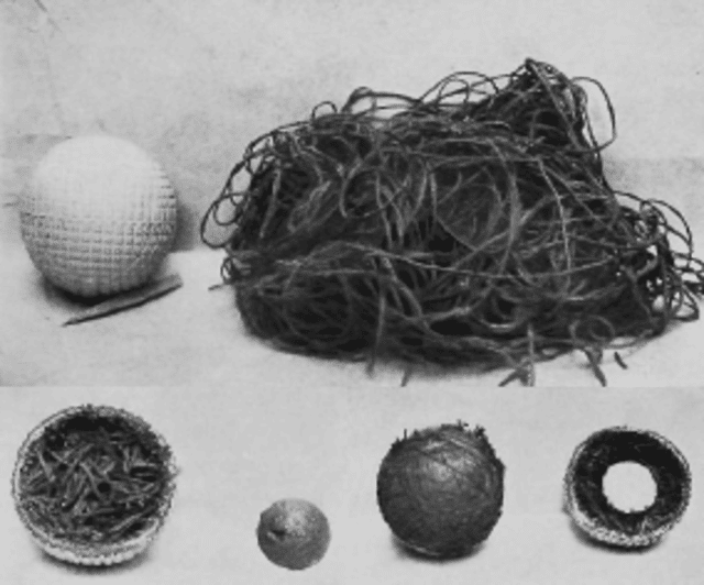 Haskell ball 1902