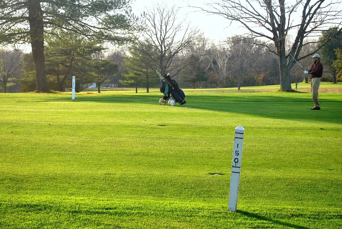 Wedge shot high bounce