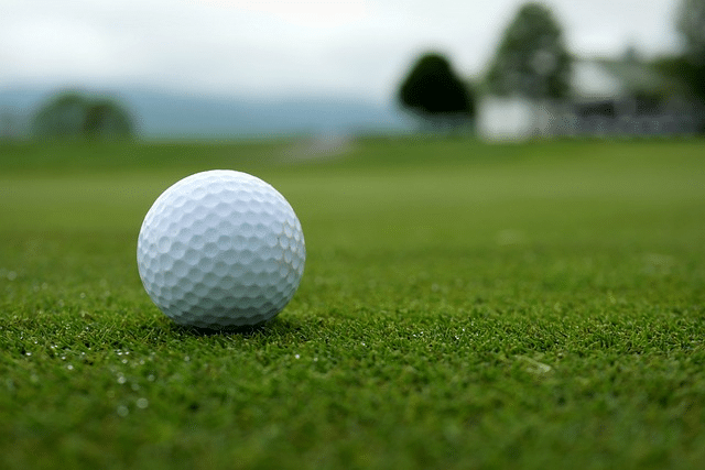 Golf ball track