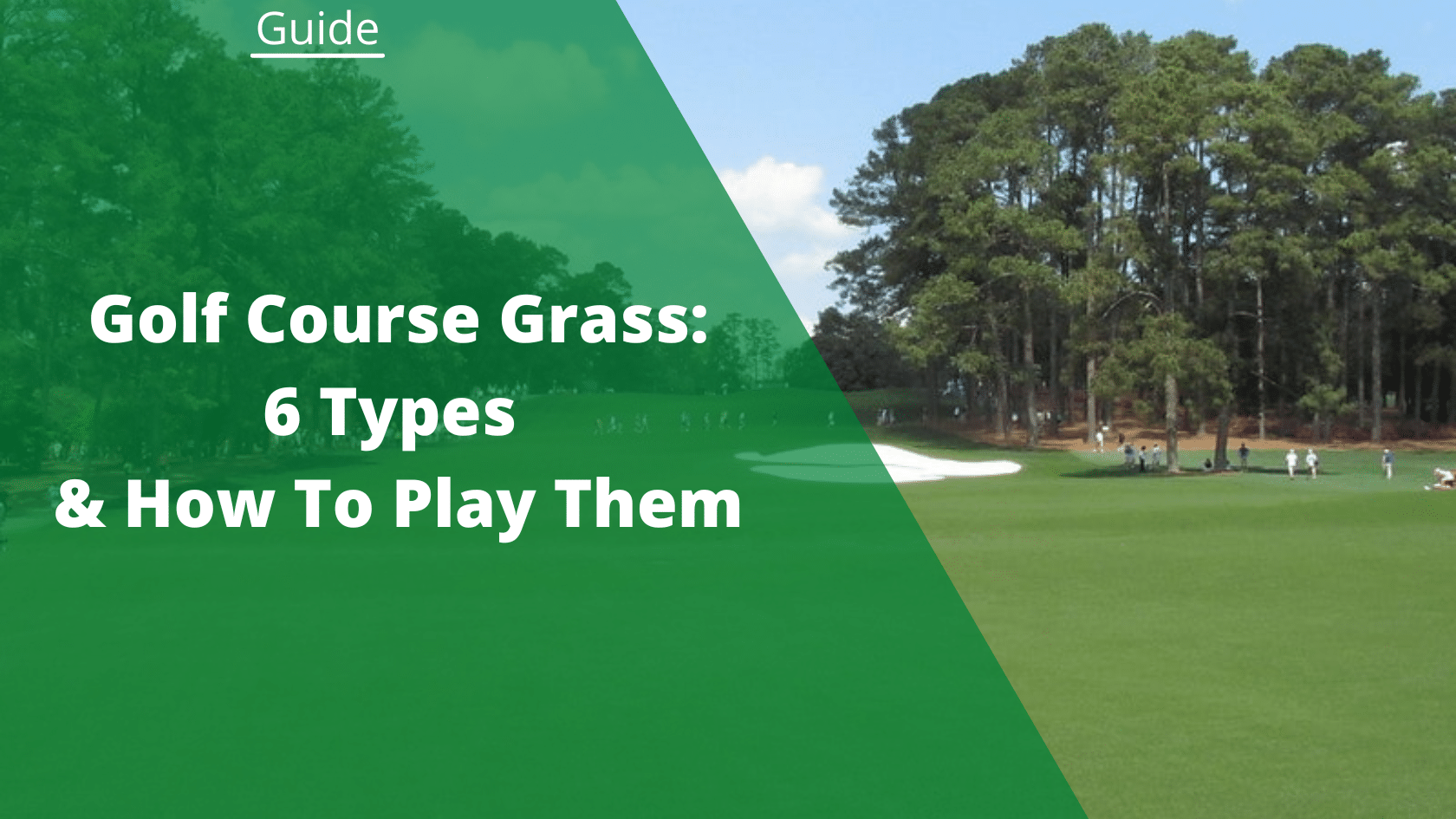 golf course grass