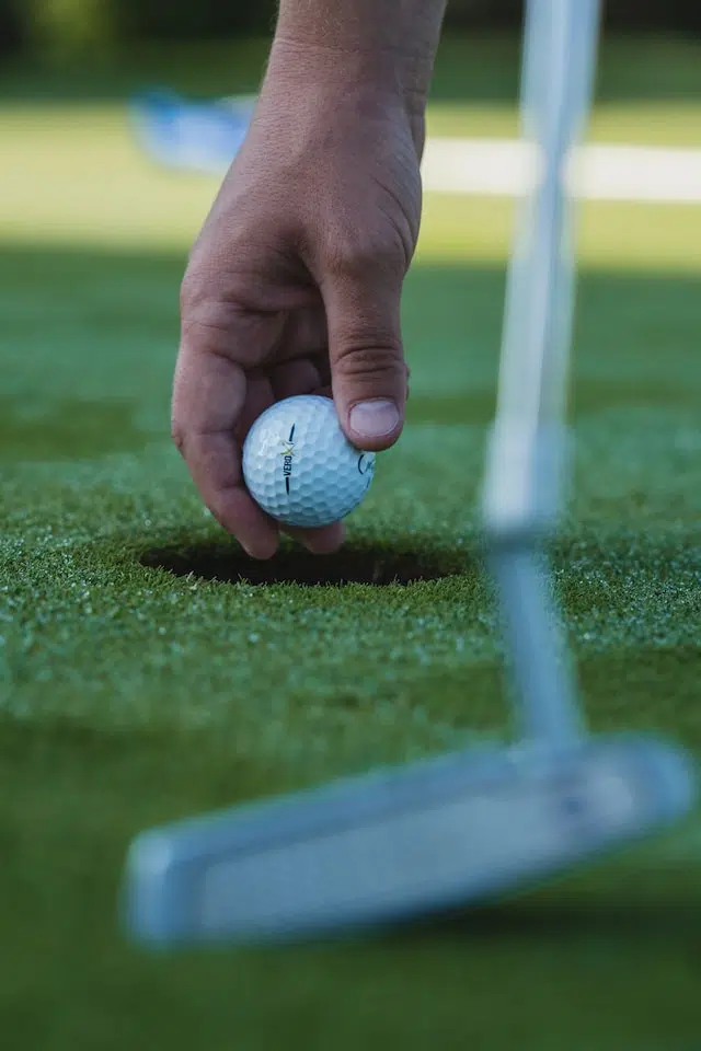 diy putting green