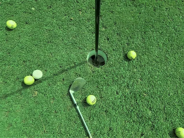 diy putting green