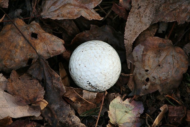 Are golf courses bad for the environment balls