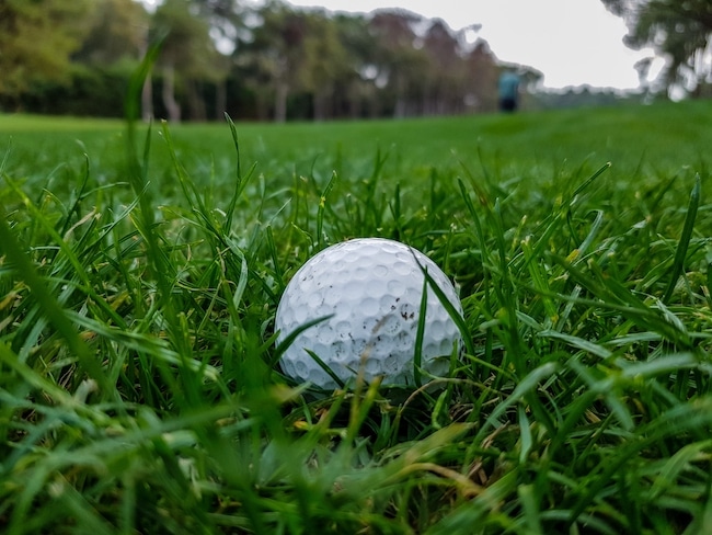 a-white-golf-ball-lies-in-the-grass-on-golf-course-2022-10-31-07-05-23-utc