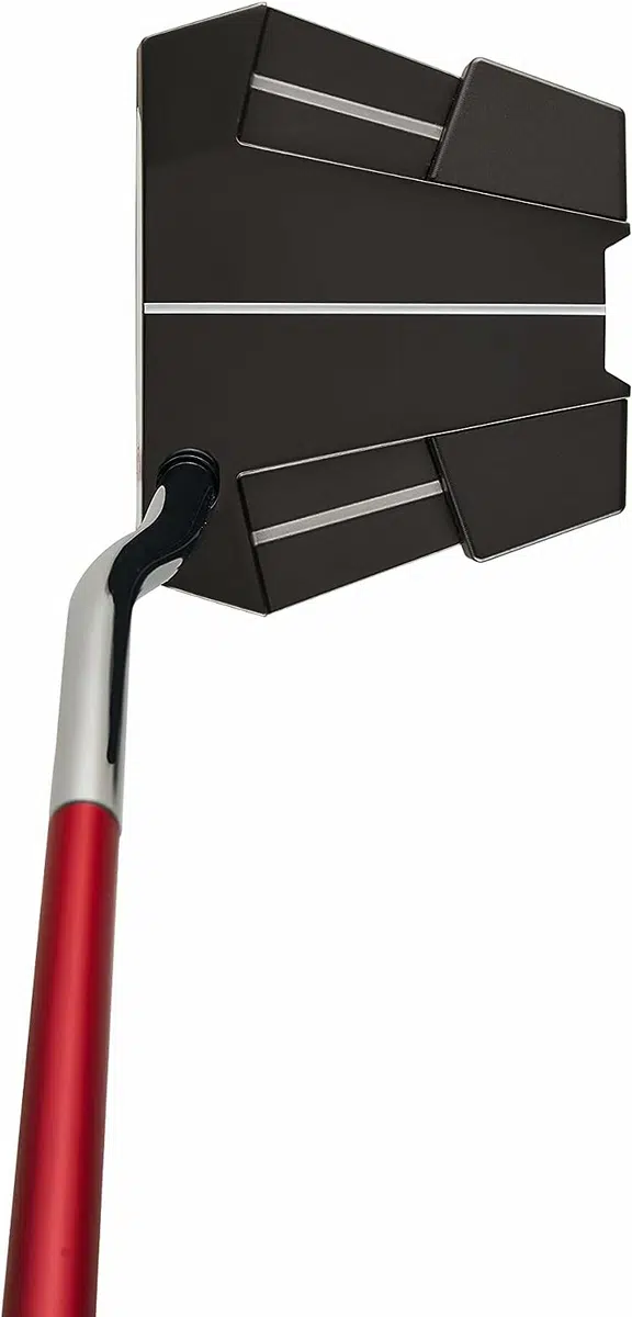 Image1