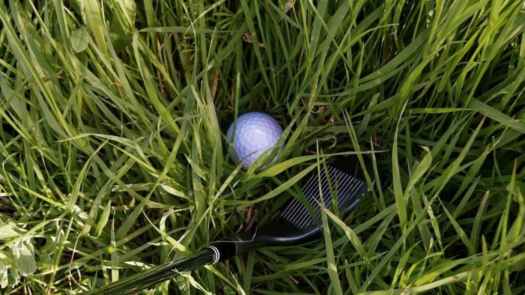 provisional ball in golf ball in deep rough