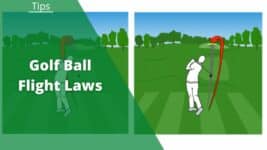 golf ball fight laws featured