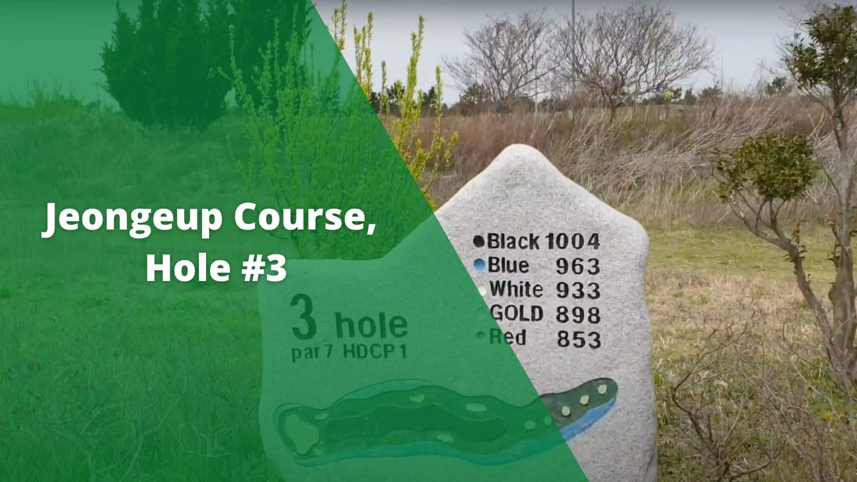 Jeongeup Course, Hole #3