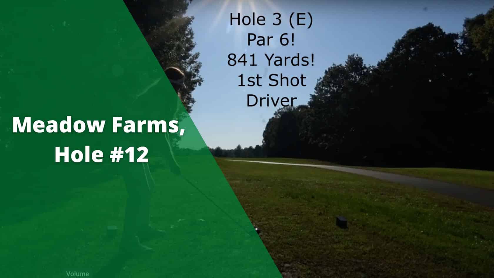 Meadow Farms, Hole #12