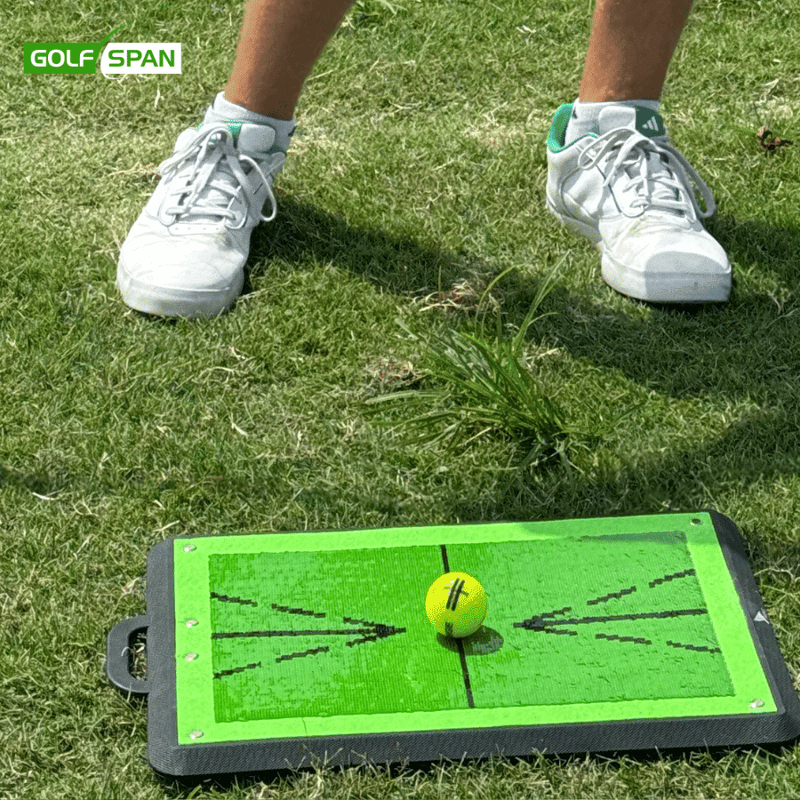 The Birdie Mat Pro Reviewed