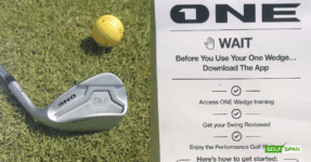 Here's what to know before you buy The One Wedge.