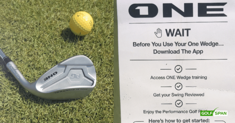 Here's what to know before you buy The One Wedge.