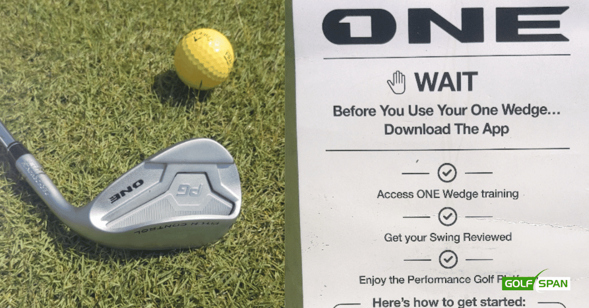 Here's what to know before you buy The One Wedge.