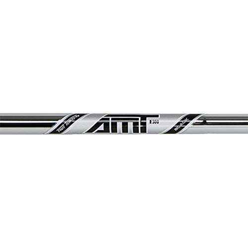 True Temper AMT iron shaft